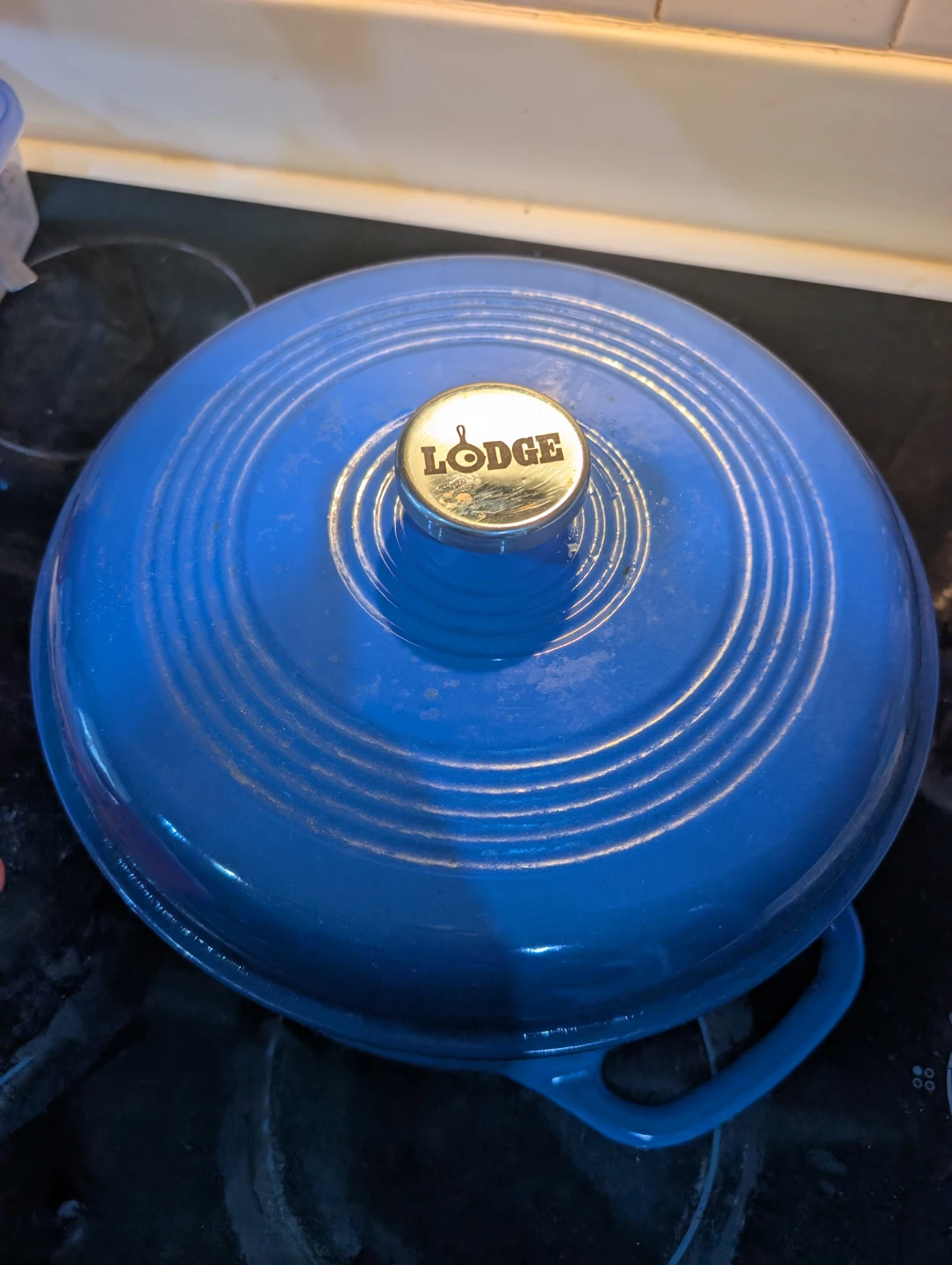 Lodge Blue 6 qt Enamel Dutch Oven