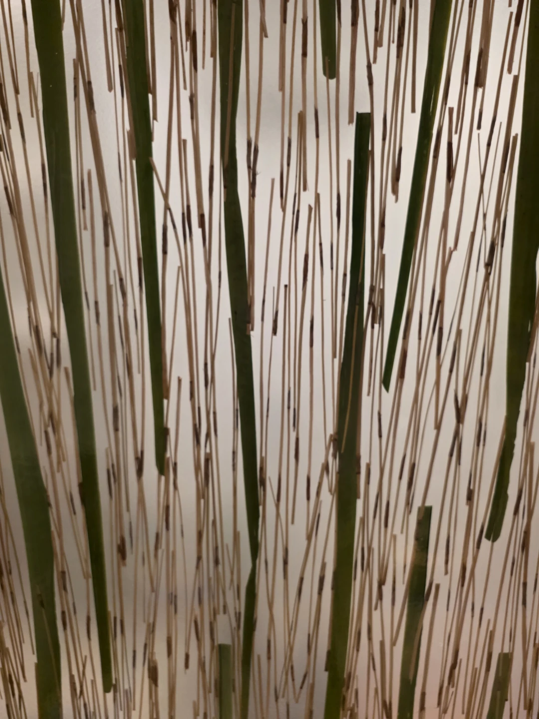 Resin Partition Doors - photo 2