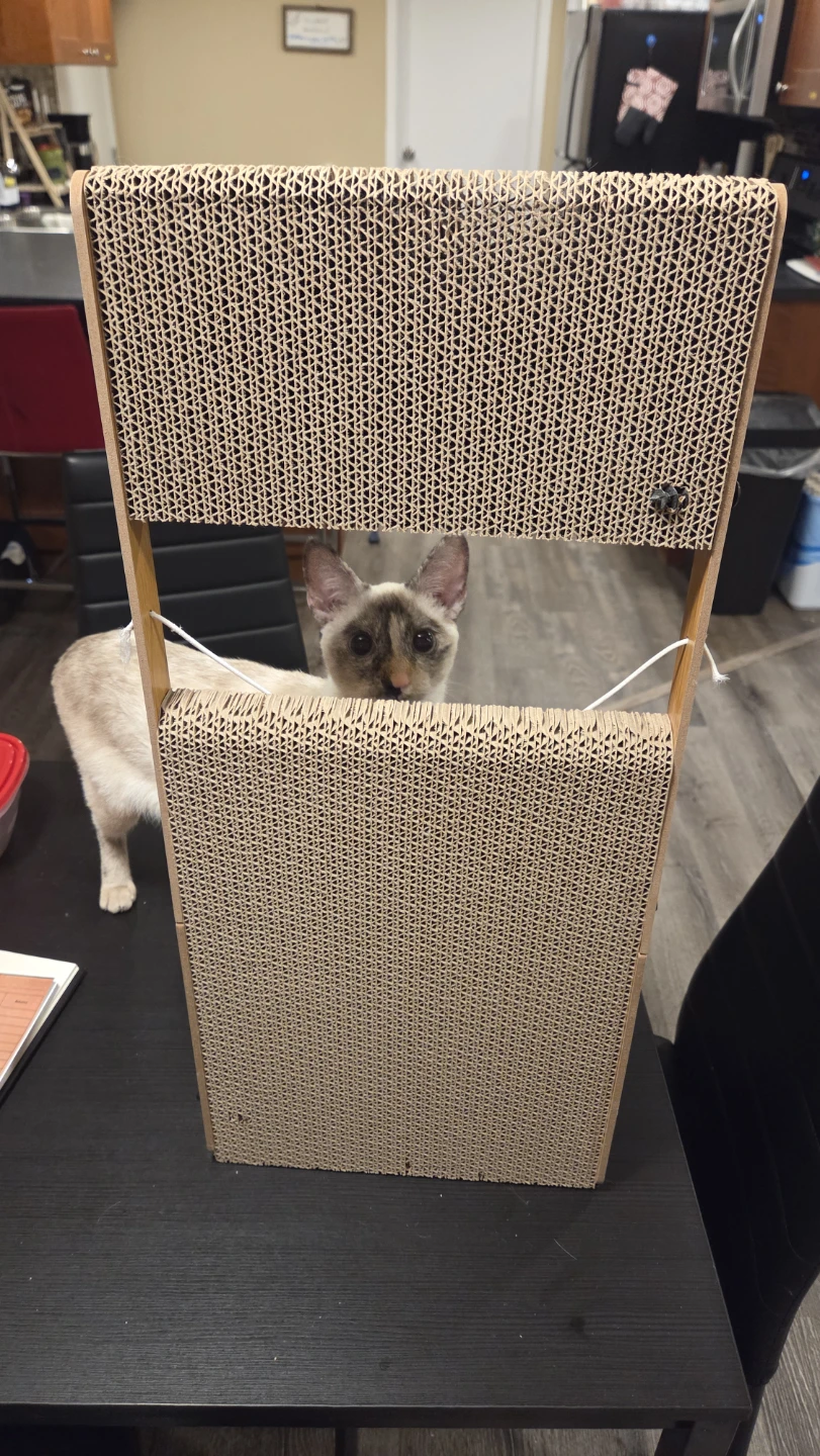 Cat Scratcher Set with Vertical and Round Scratchers - photo 3