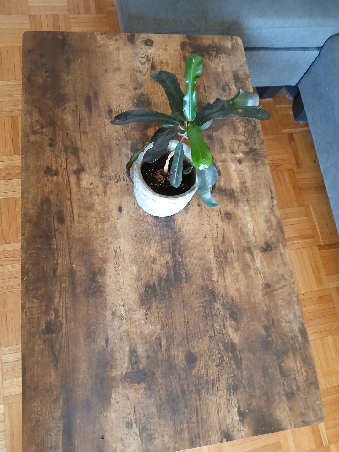 Rustic Wood Coffee Table