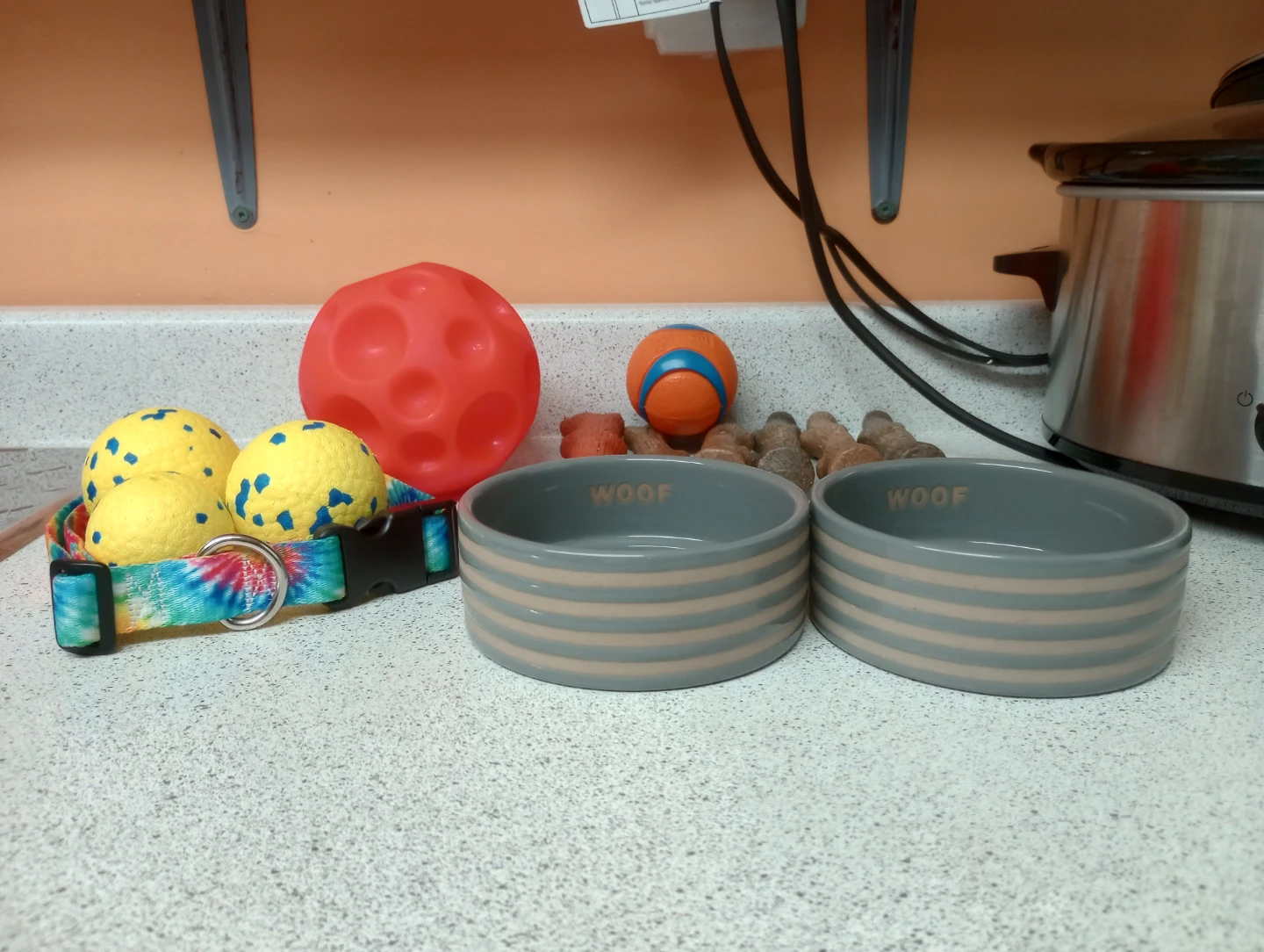 15 Dog Items - Most Never Used - photo 2