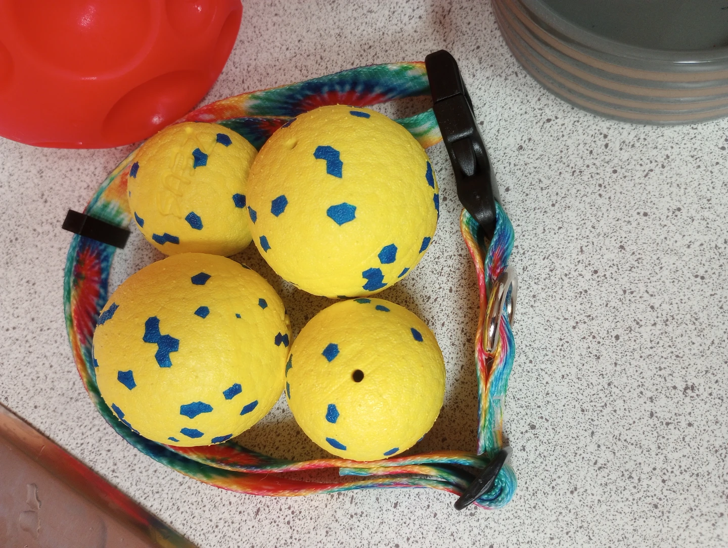 15 Dog Items - Most Never Used - photo 3