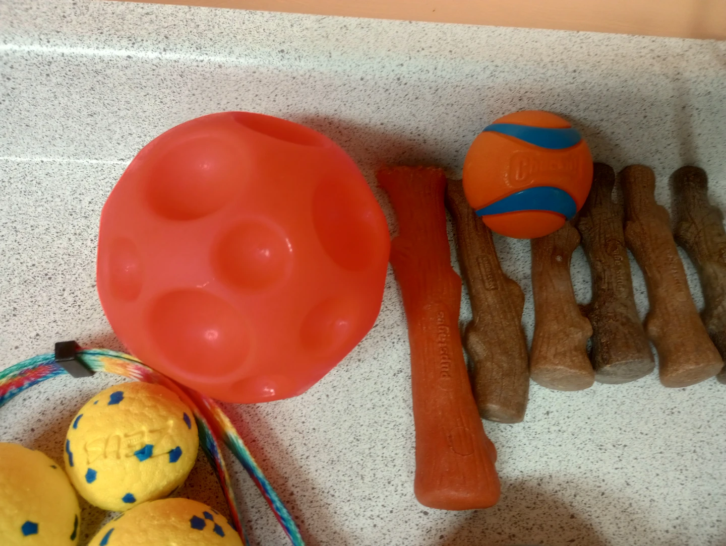 15 Dog Items - Most Never Used - photo 4