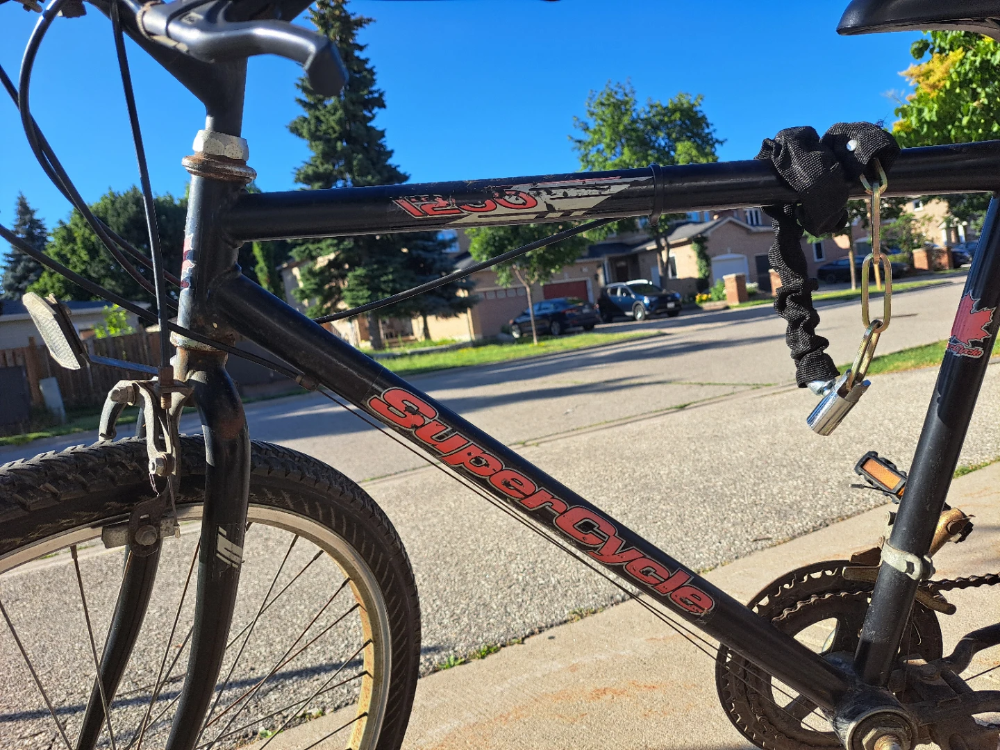 SuperCycle 1200 Mountain Bike - photo 4