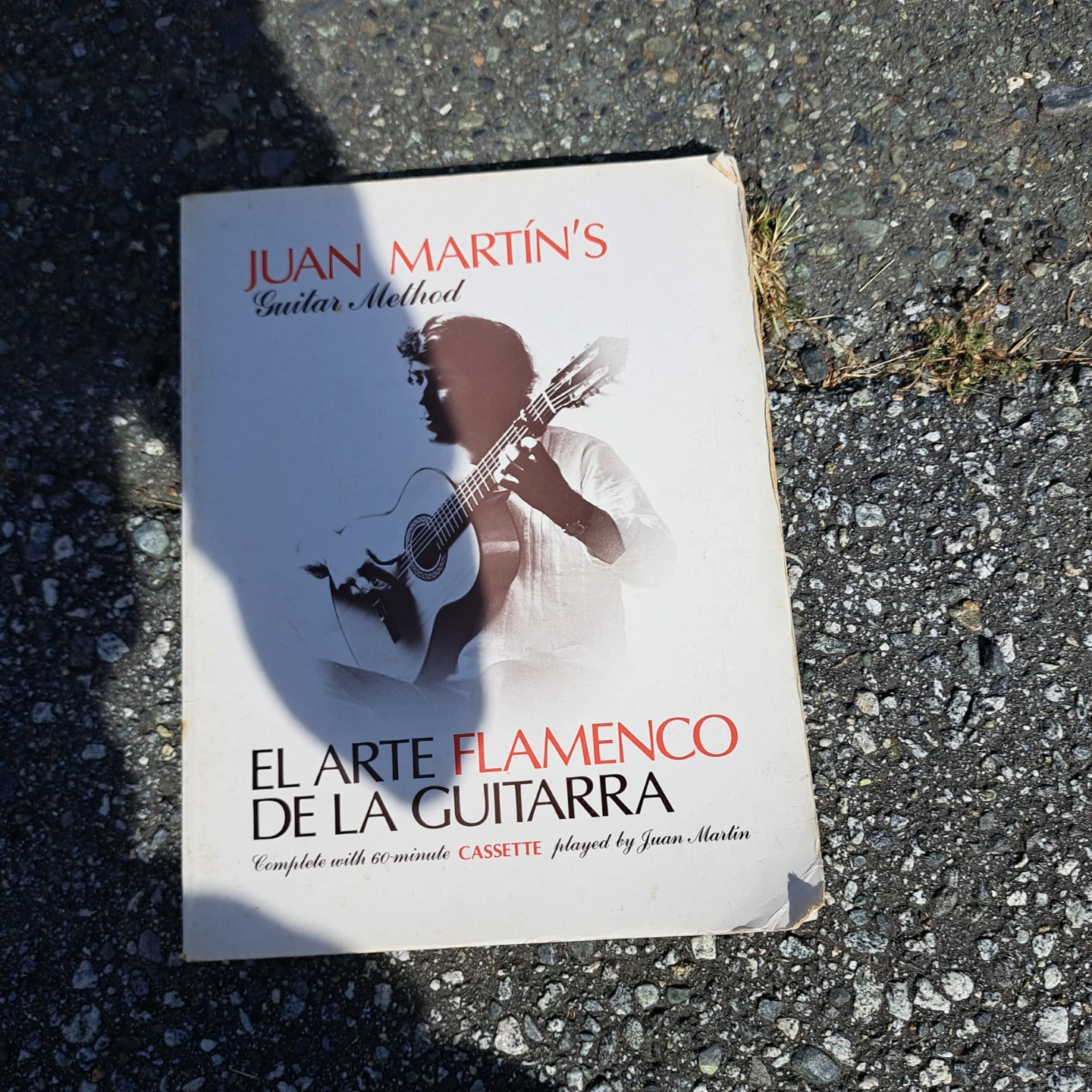 Juan Martin Flamenco guitar
