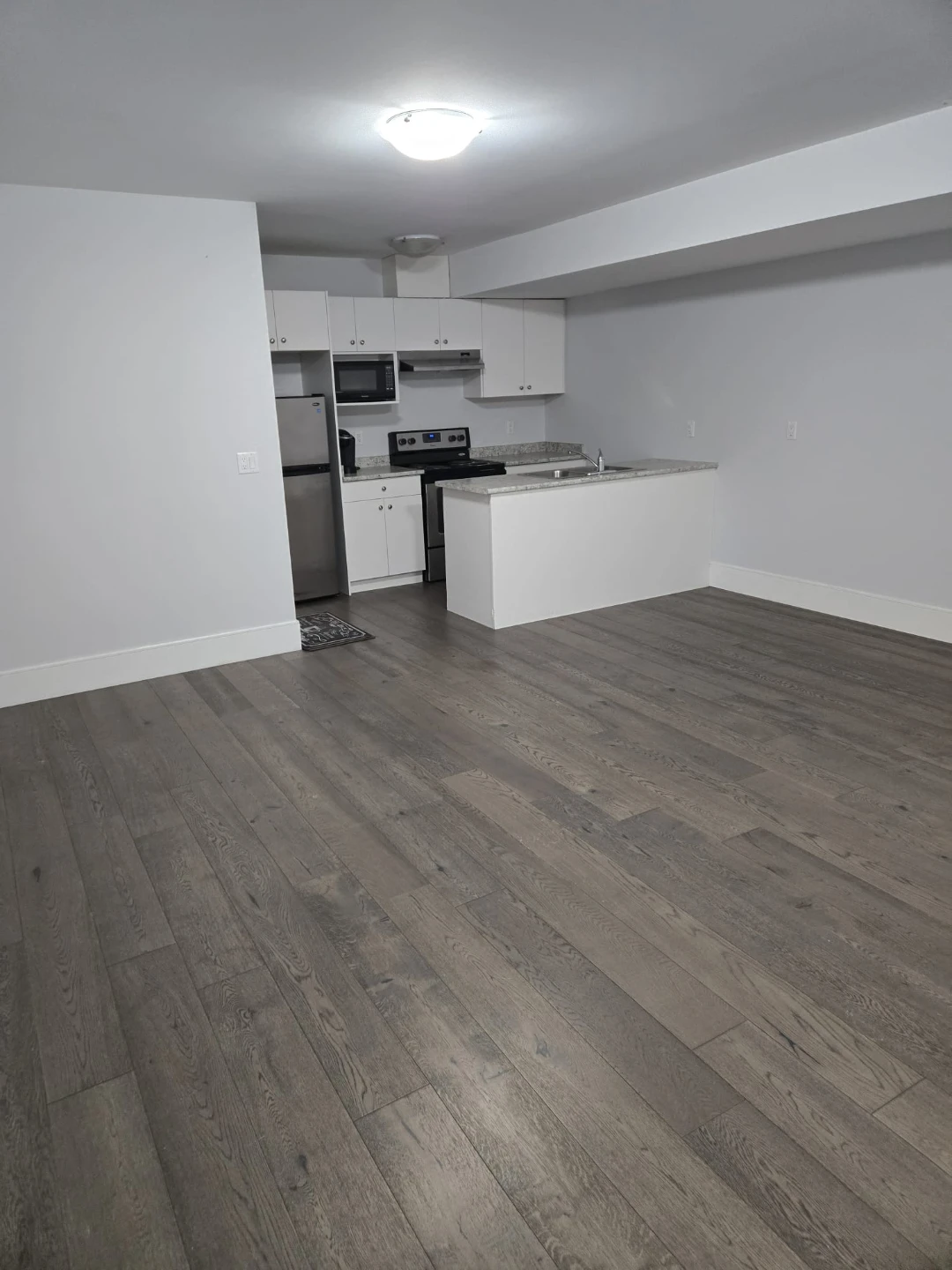 Basement for Rent - photo 3