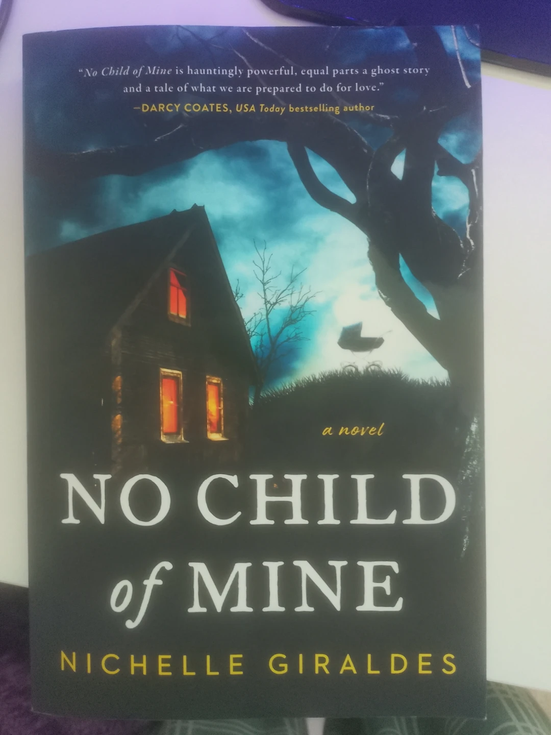 No Child of Mine by Nichelle Girales Novel