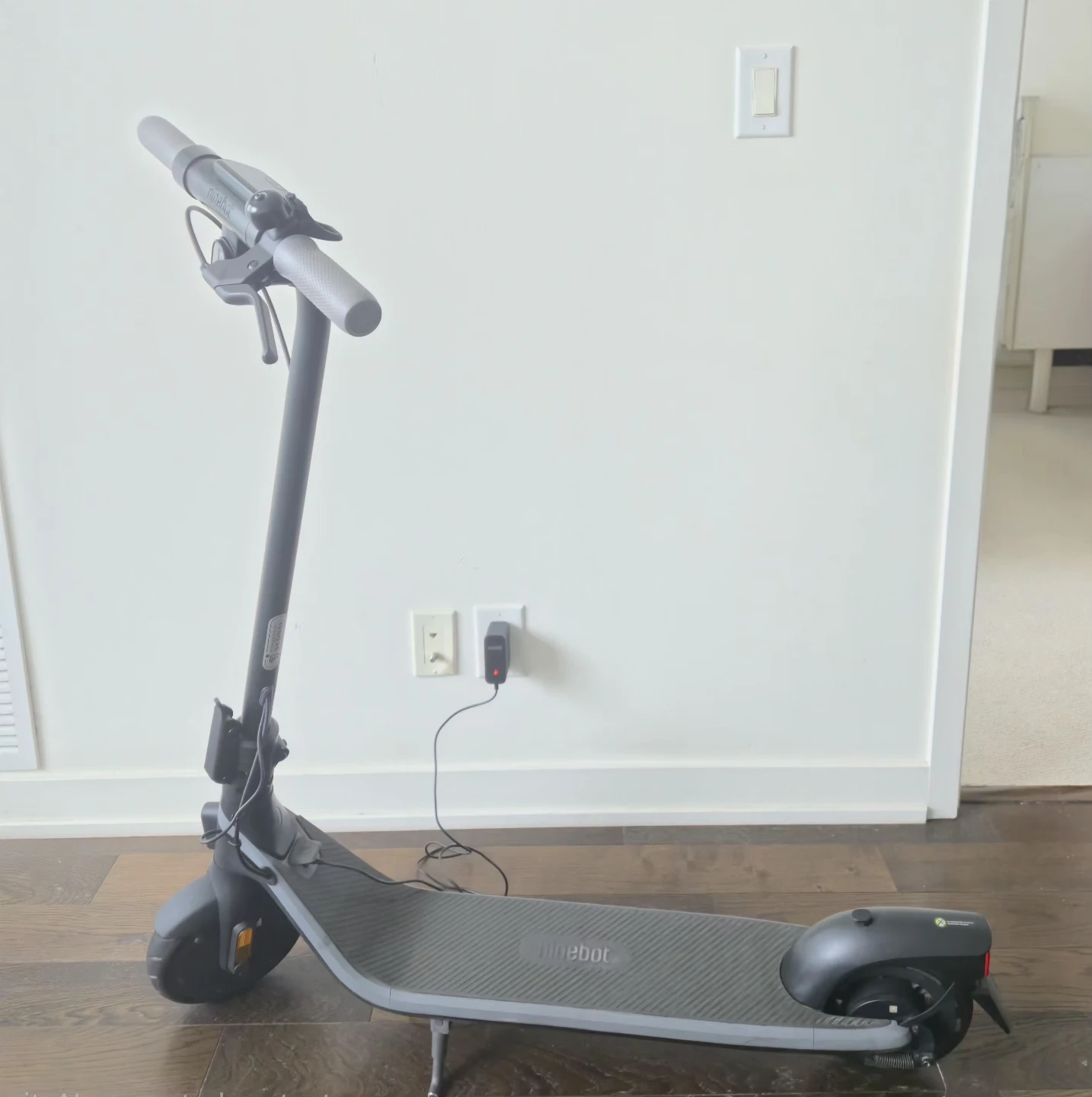 Segway Ninebot Electric Scooter
