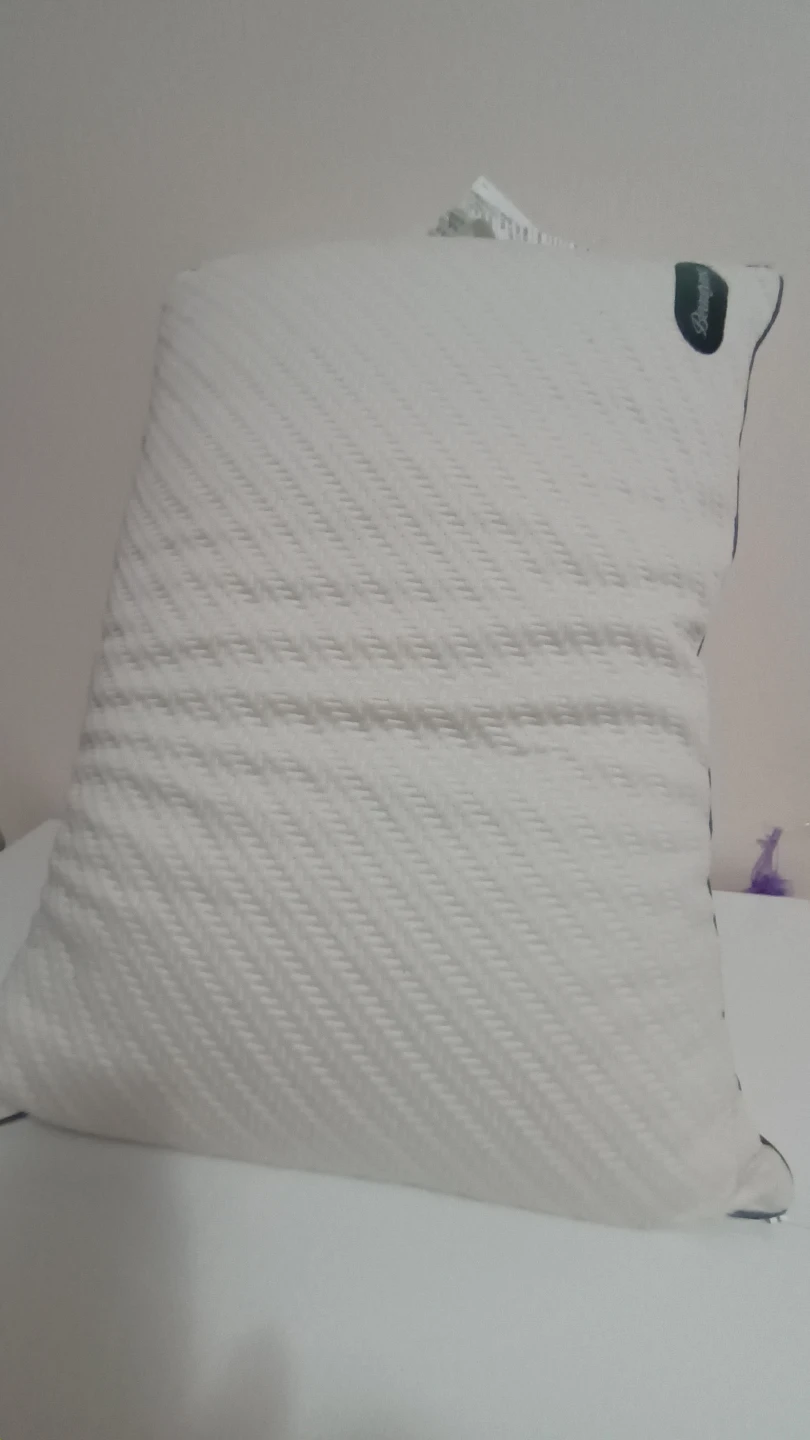 DreamEase Contour Pillow