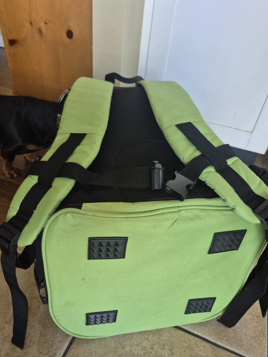 Pet Carrier Backpack - St. Aimee - photo 5
