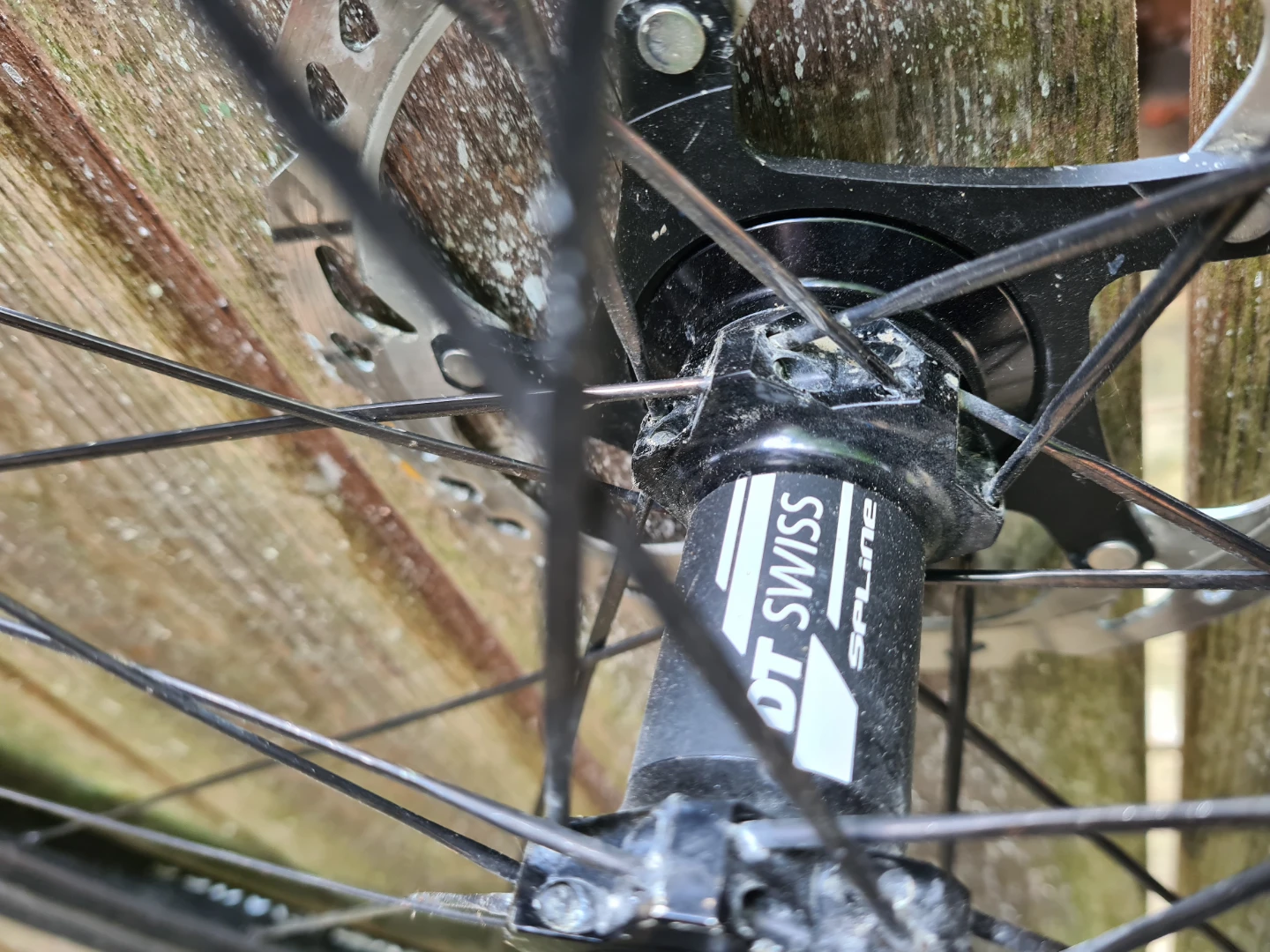 DT Swiss R24 Spline Wheelset with Continental Bon Jon Pass Tires - photo 3