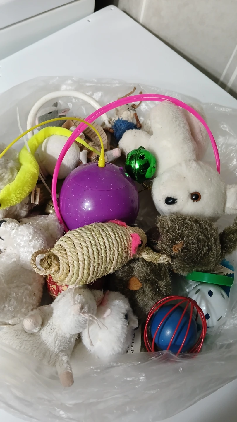 Collection of cat toys for $5.00 - photo 2