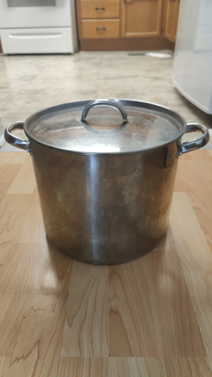 Large Stainless Steel Stock Pot with Lid