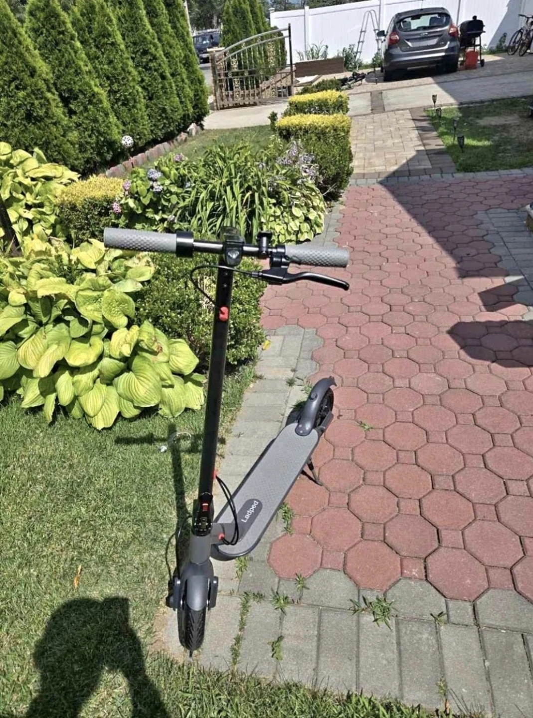 Ladped Electric Scooter [ 21 Mph]
