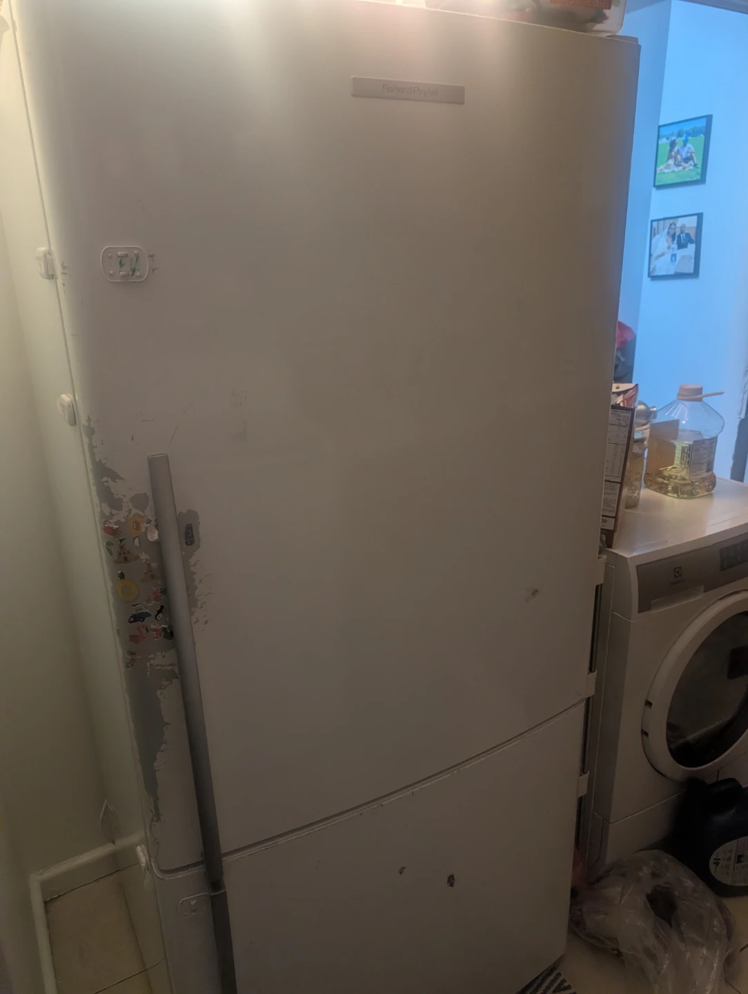 Fisher & Paykel White Refrigerator - photo 5