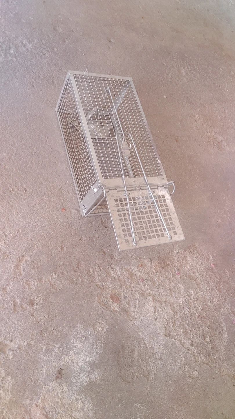 Metal Humane Live Animal Trap - photo 3