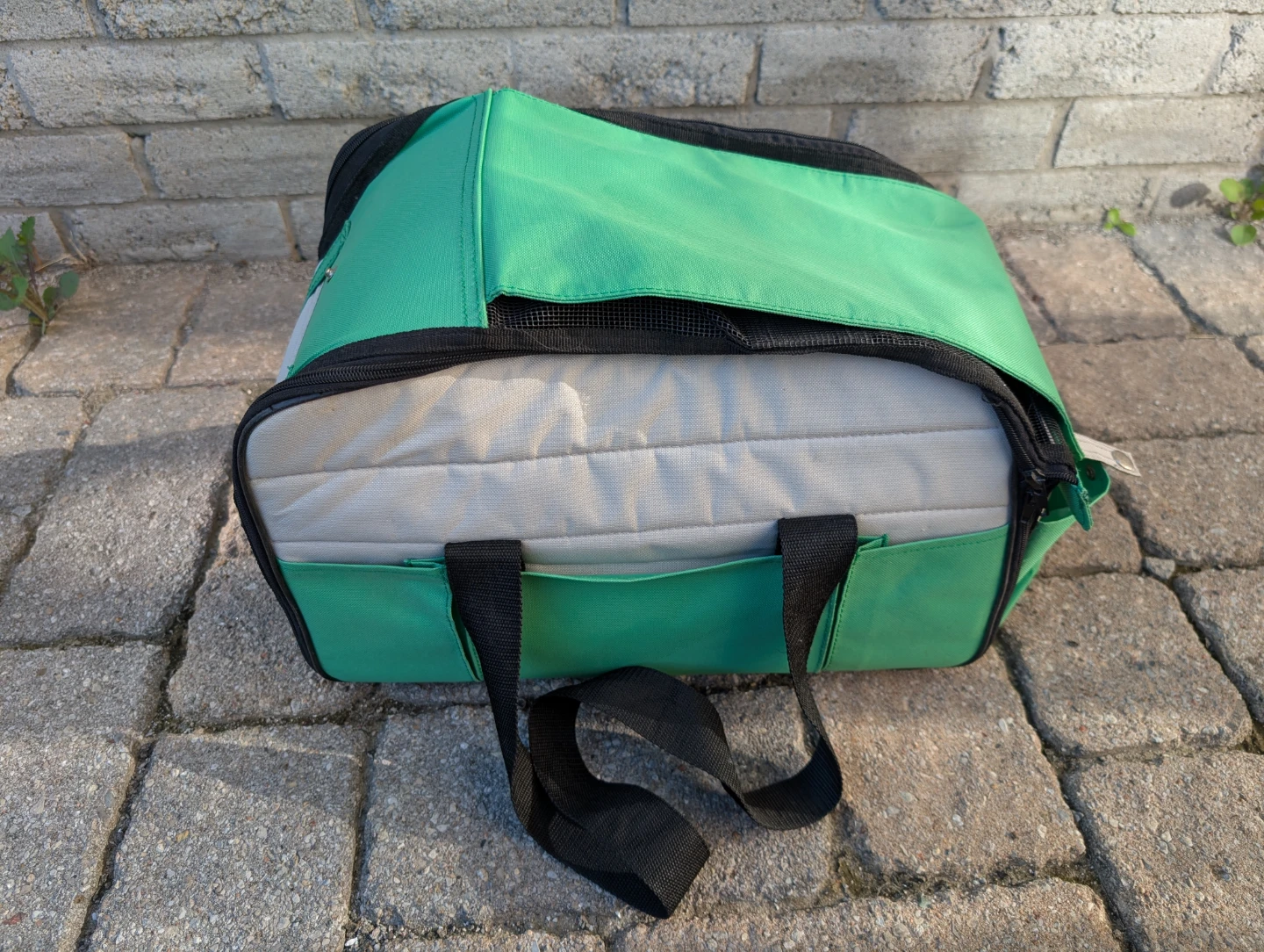 Green Pet Carrier with Cross Ventilation
