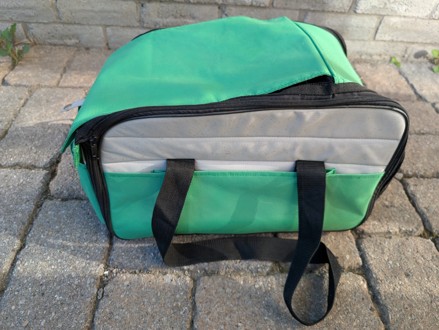 Green Pet Carrier with Cross Ventilation - photo 3