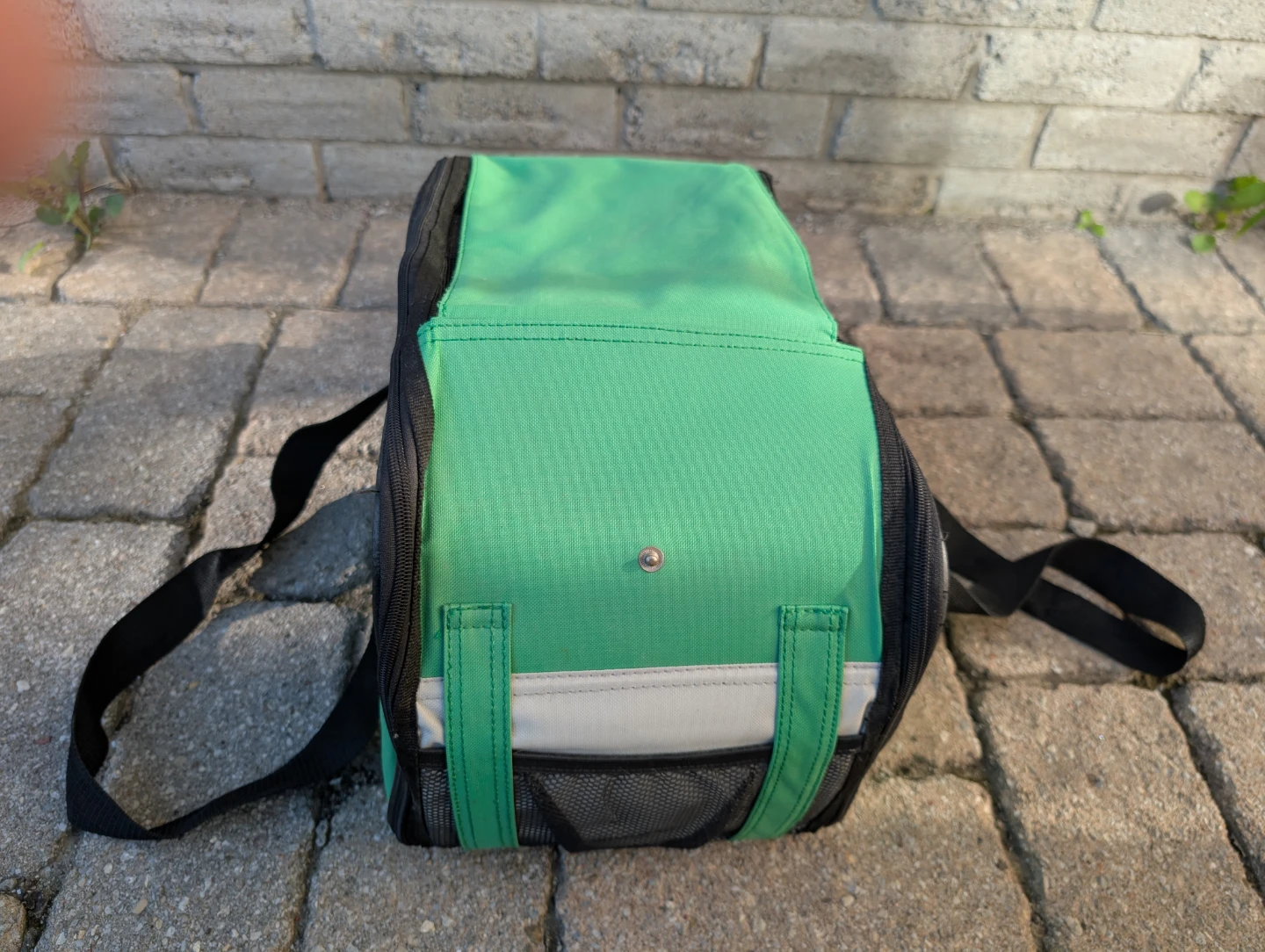 Green Pet Carrier with Cross Ventilation - photo 4