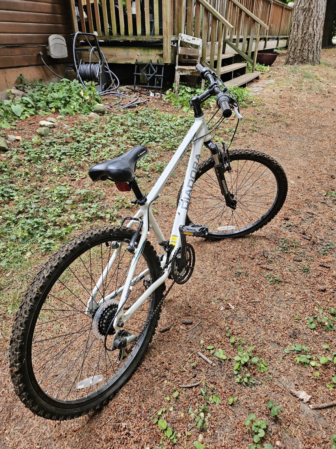 Ladies/Youth Mountain Bike - photo 2