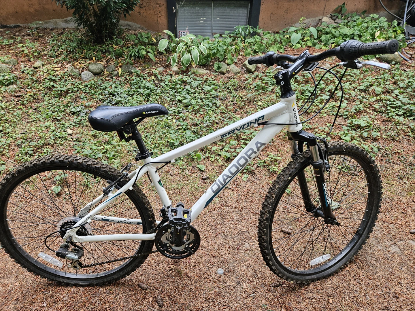 Ladies/Youth Mountain Bike - photo 3