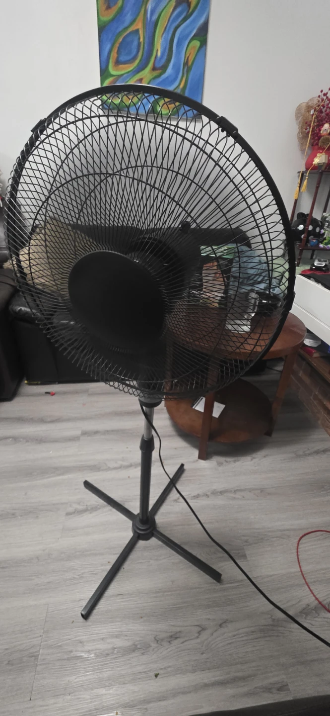 Black Standing Fan