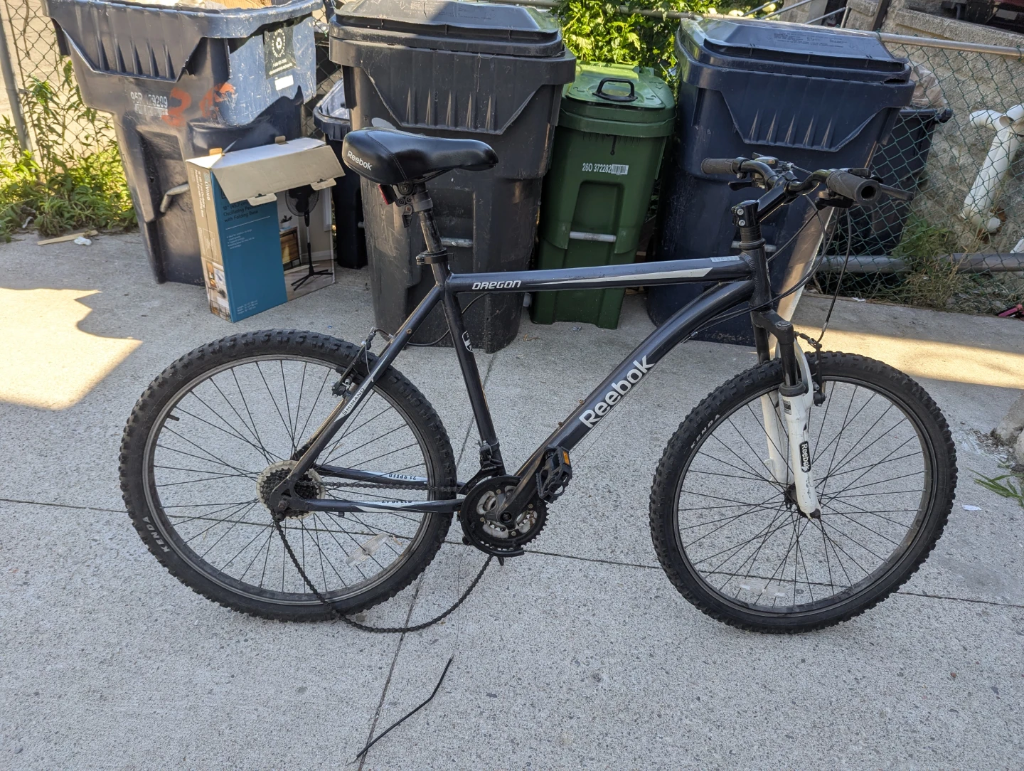 Reebok Oregon Mountain Bike - photo 2