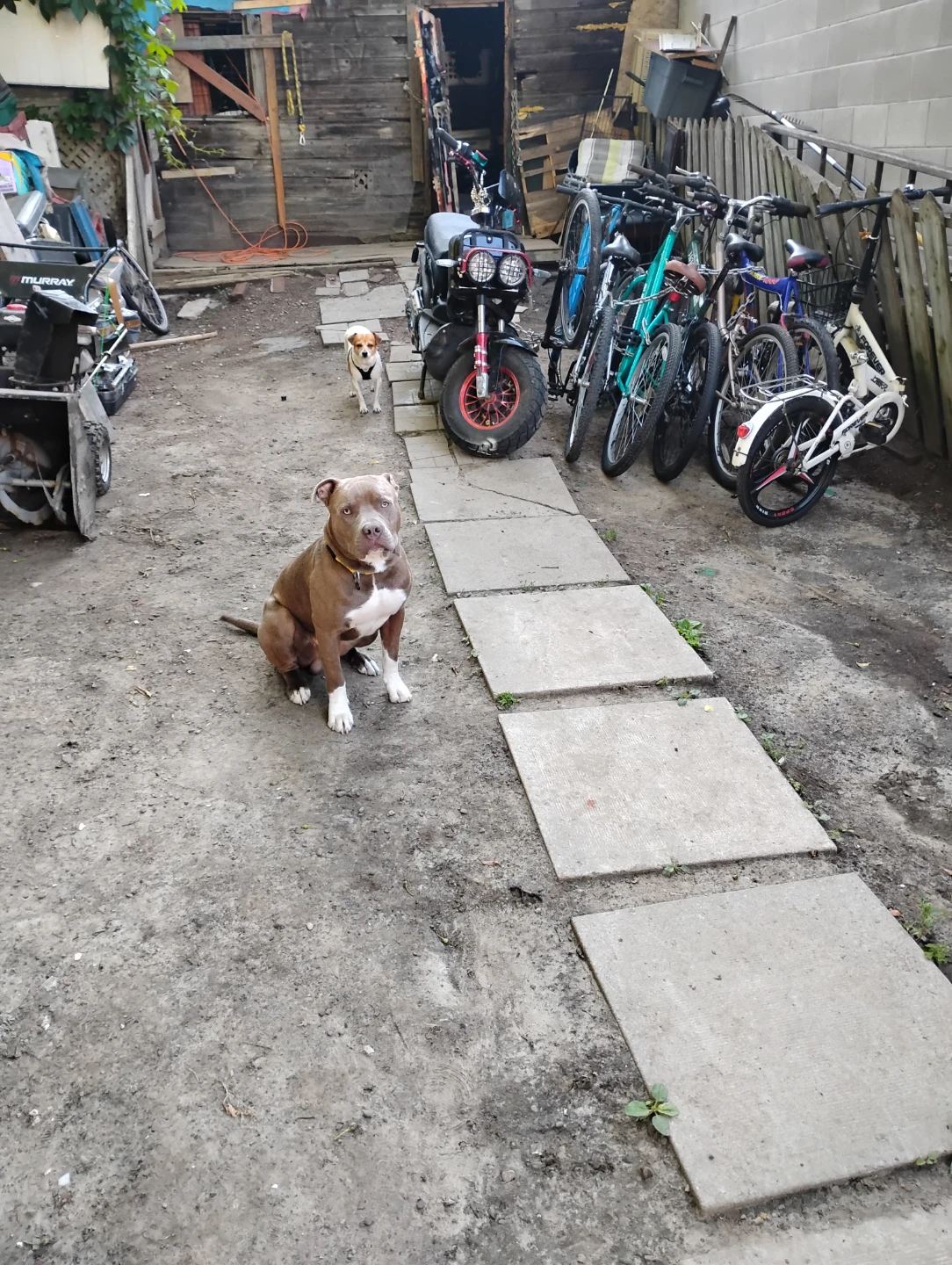 7bike 450 e bike not included.