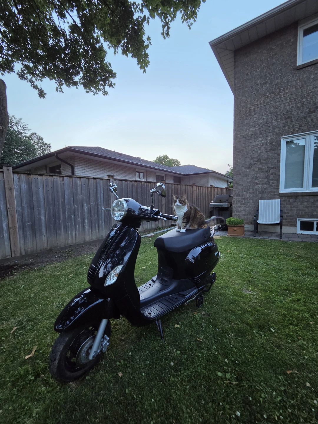 Electric vespa