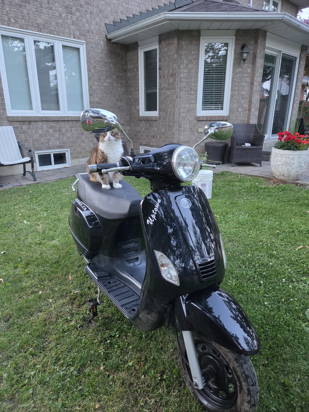 Electric vespa - photo 2