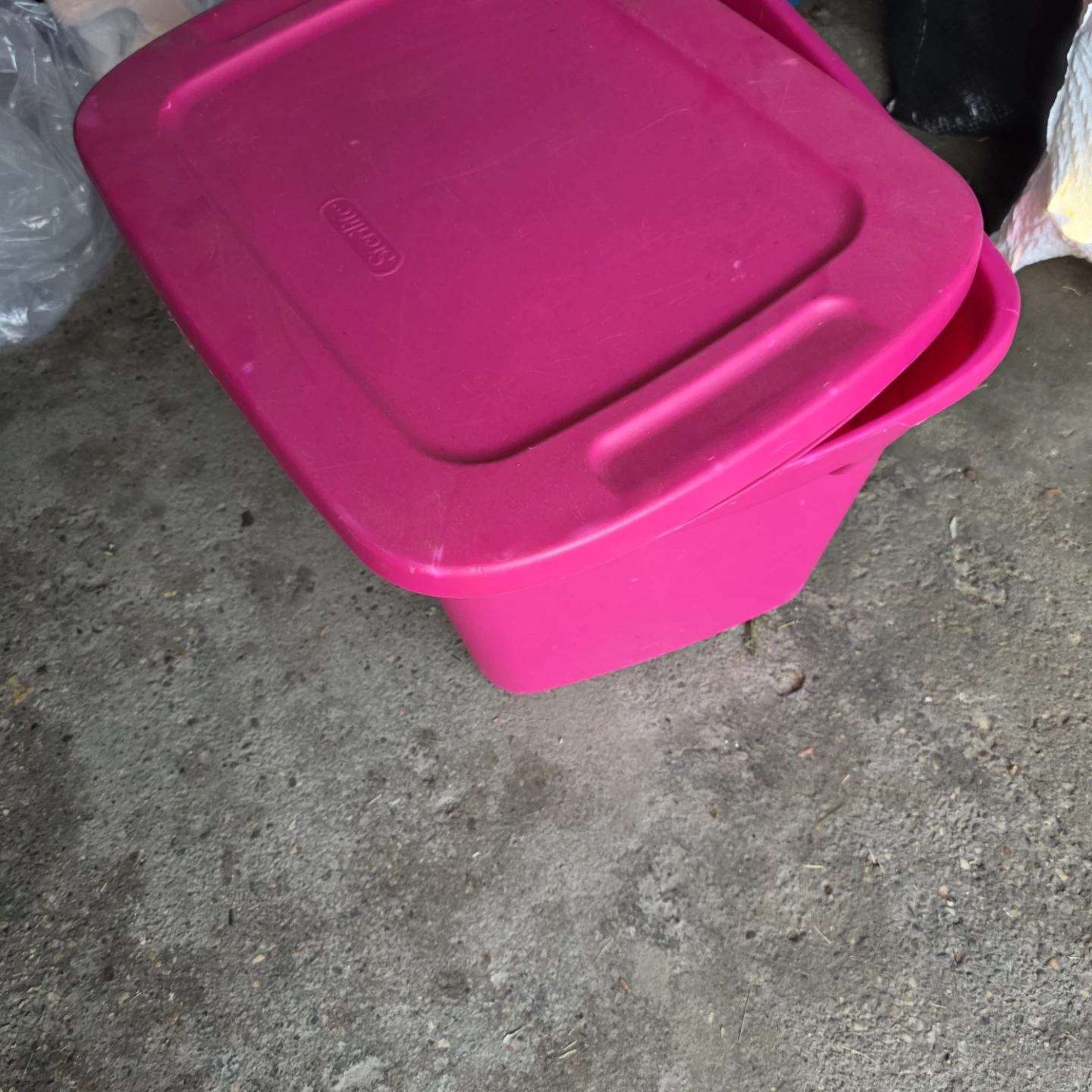 Sterilite Pink Storage Bin with Lid - photo 2