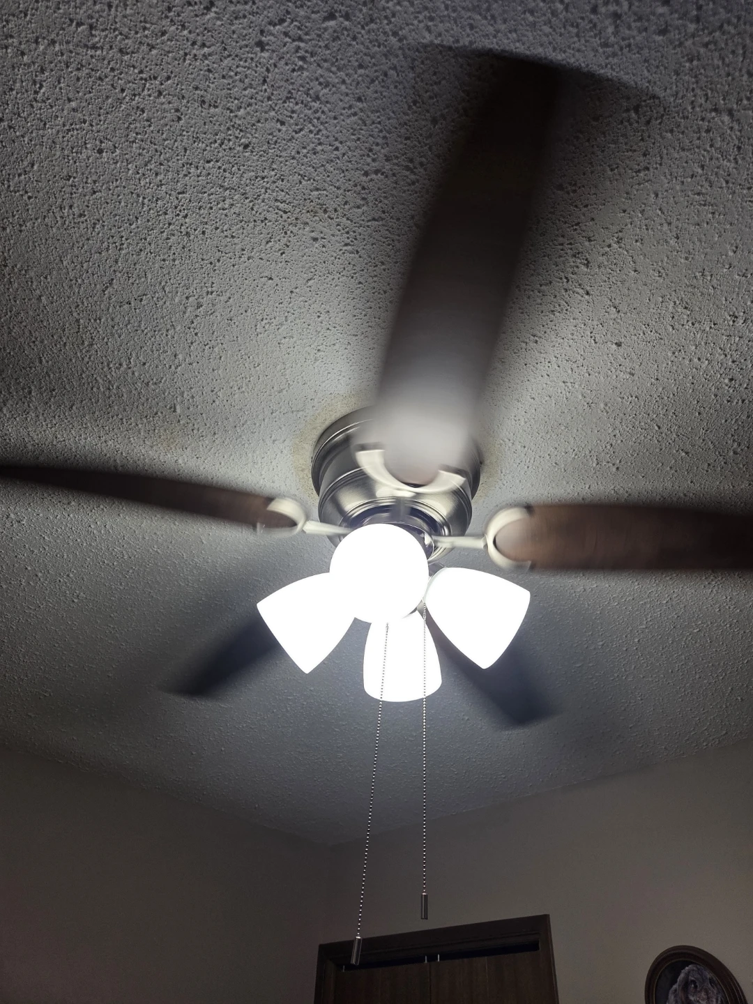 Ceiling fan