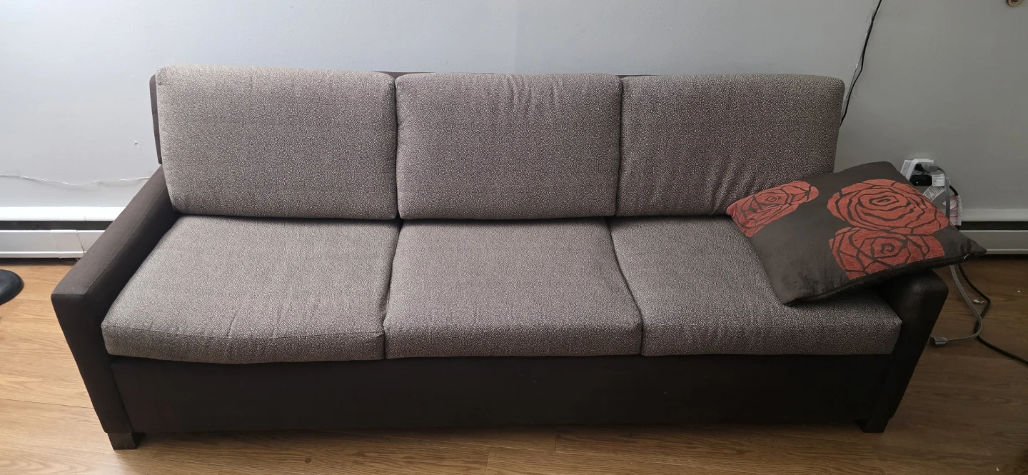 Carson's Hospitality Sofa Bed