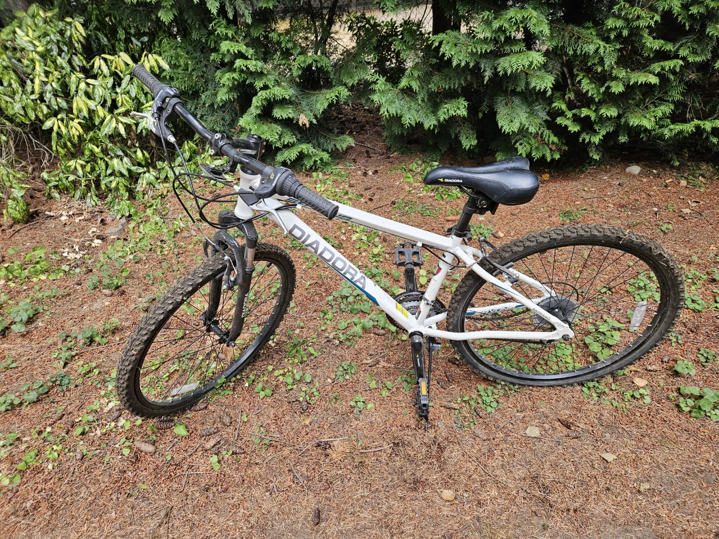 Ladies/Youth Mountain Bike