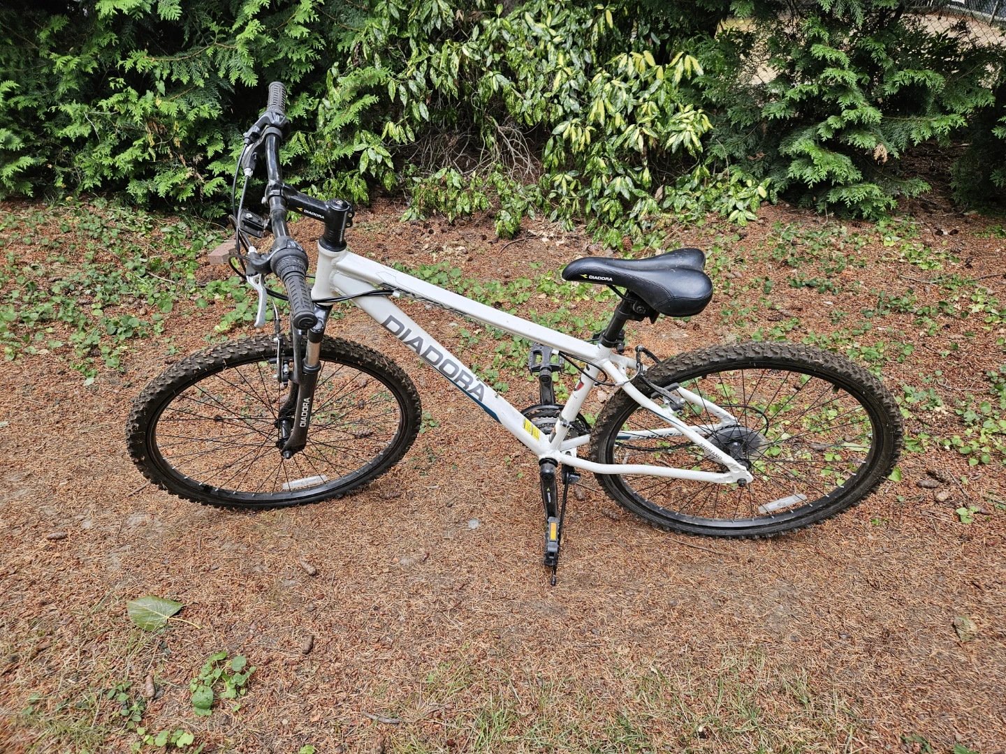 Ladies/Youth Mountain Bike - photo 4