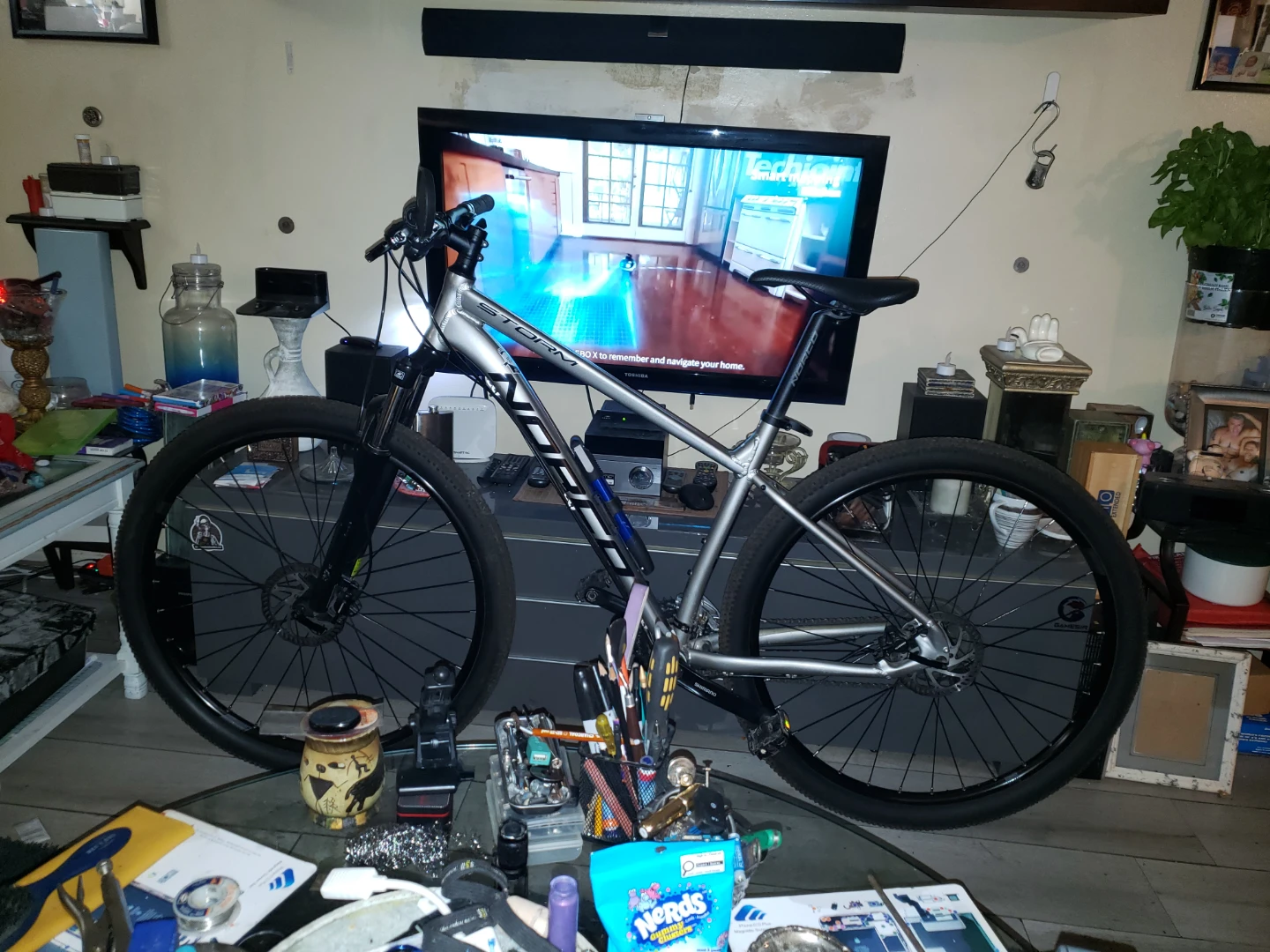 Storm Mountain Bike
