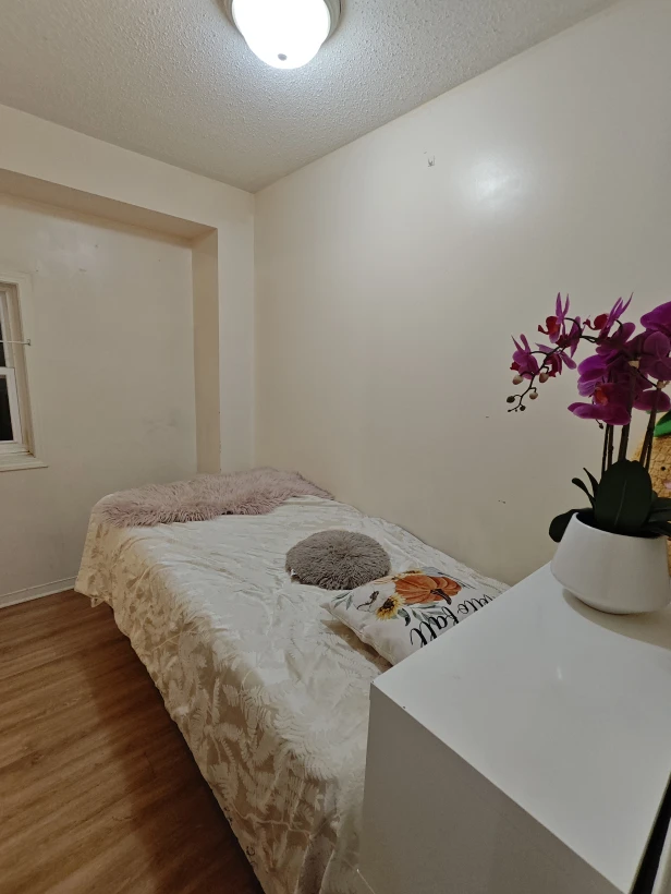 York Uni. 1 room with private washroom