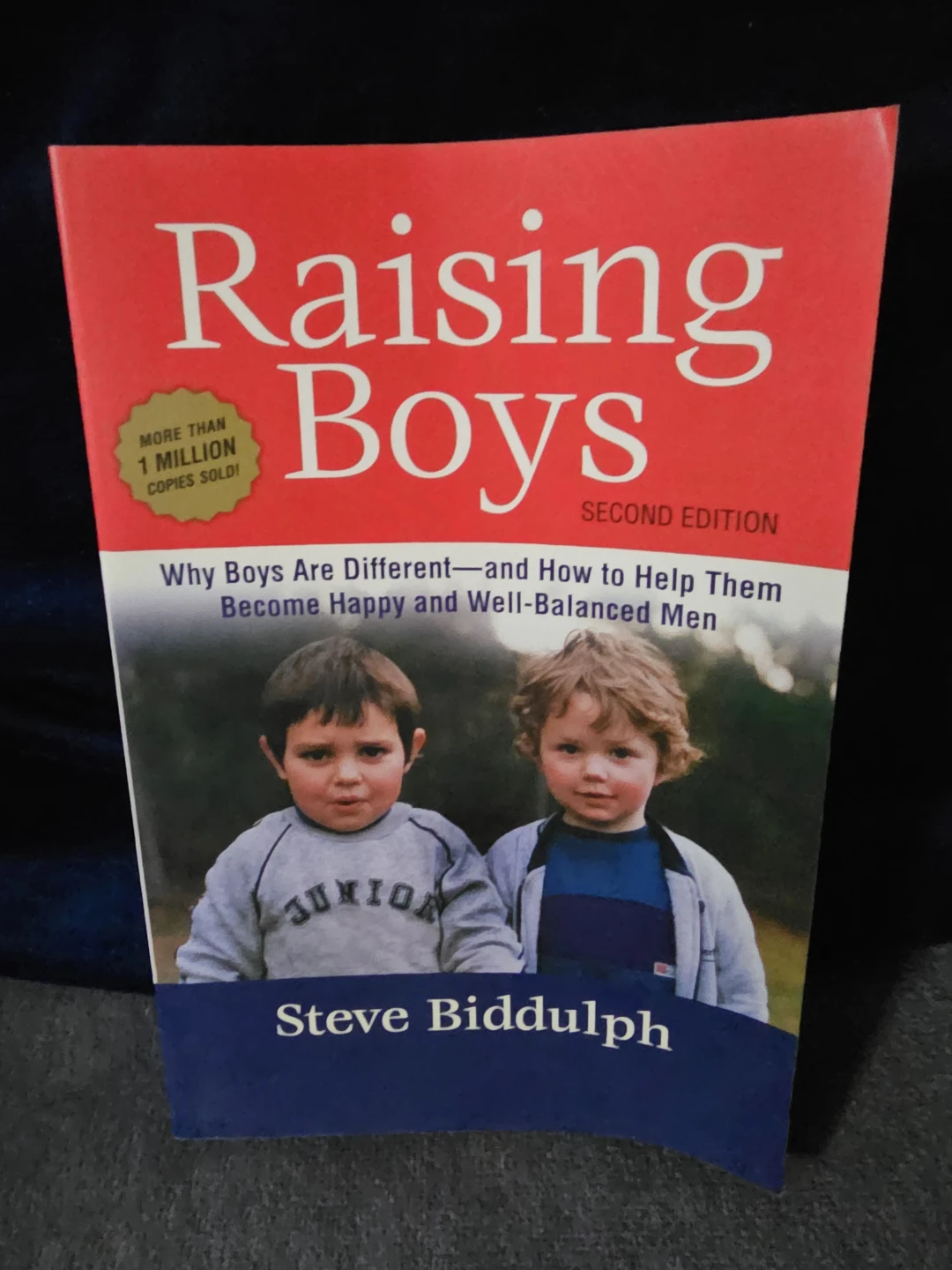 Raising Boys Second Edition by Steve Biddulph