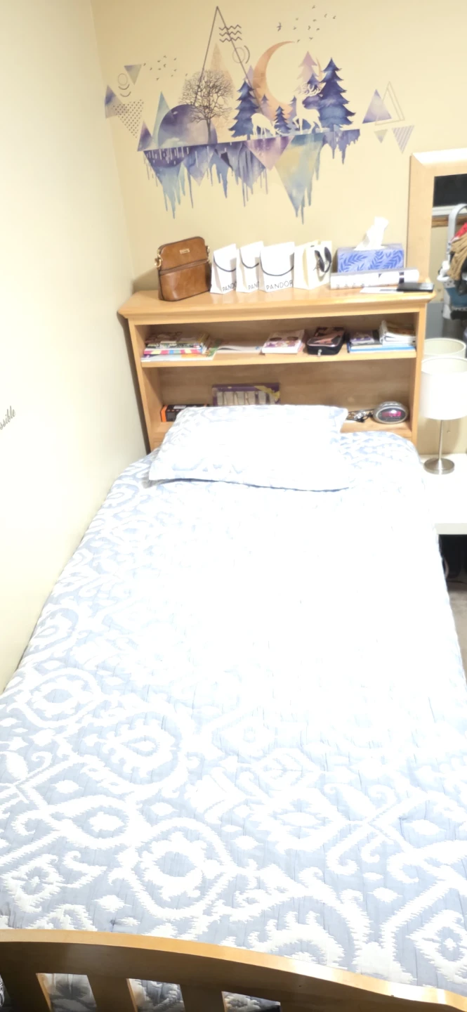 Solid Wood Twin Bed Frame with Storage Drawers - photo 3