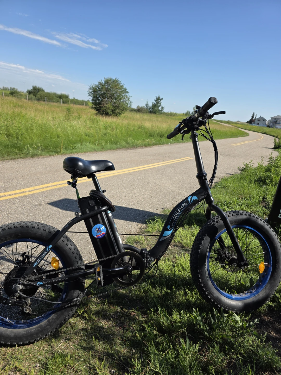 Dolphin Fat Tire Electric Bike