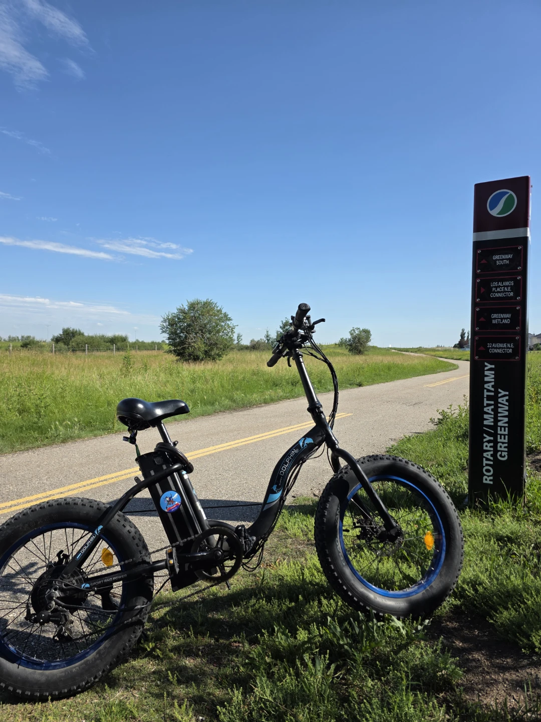 Dolphin Fat Tire Electric Bike - photo 2