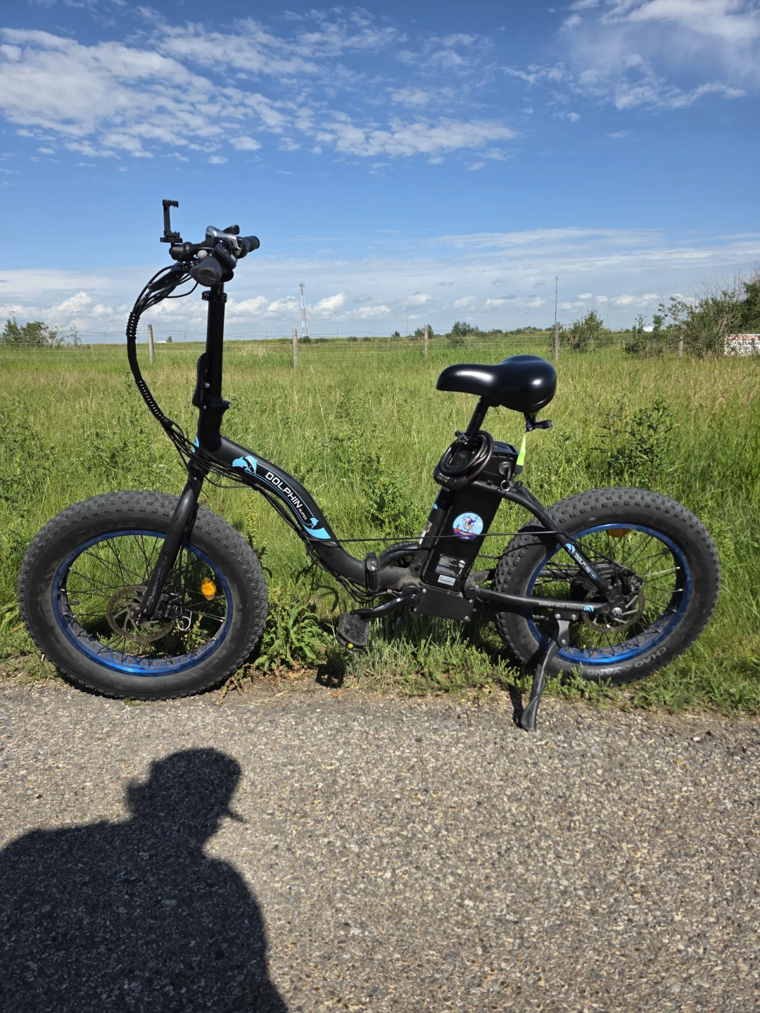 Dolphin Fat Tire Electric Bike - photo 3