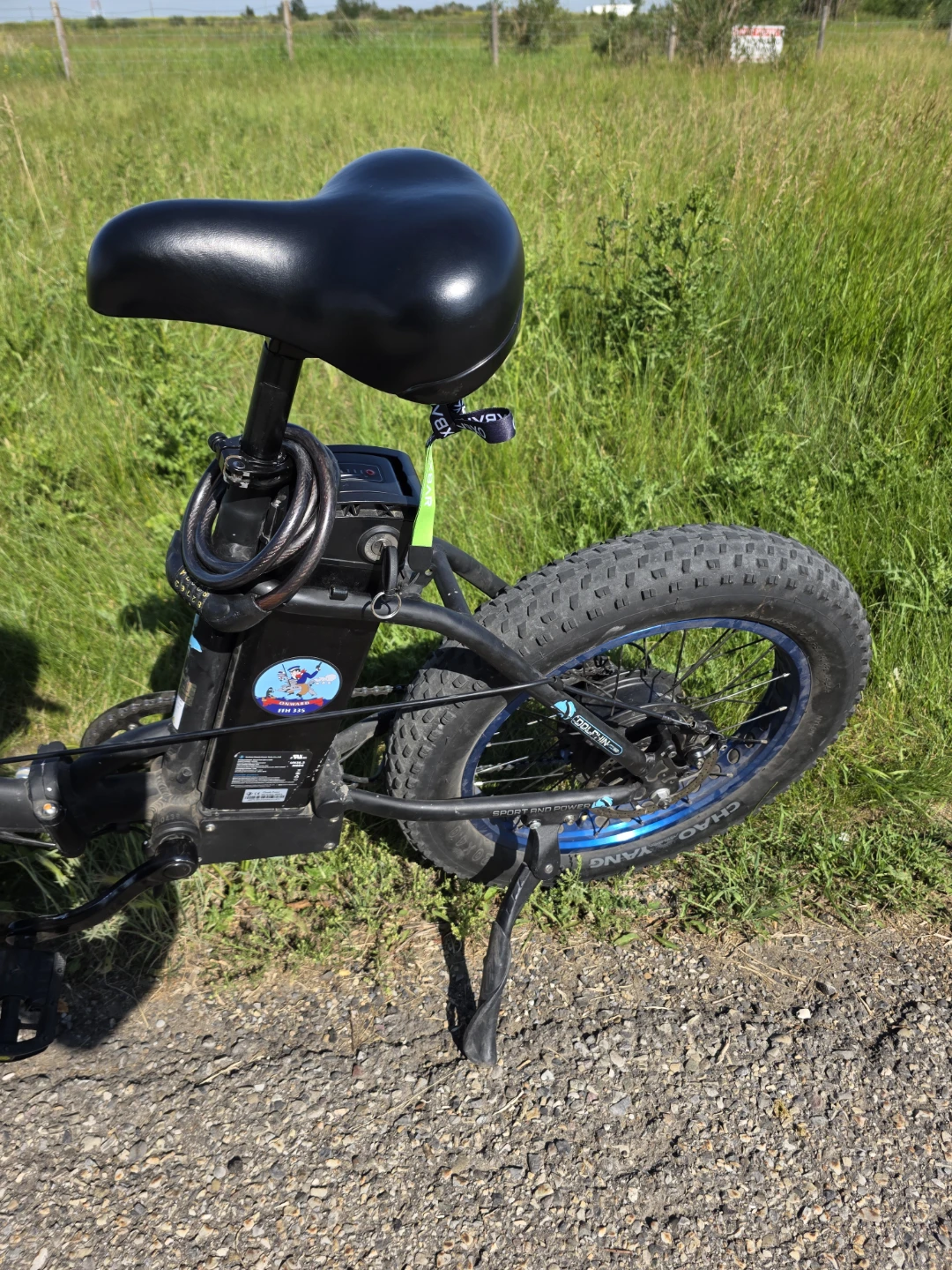 Dolphin Fat Tire Electric Bike - photo 5
