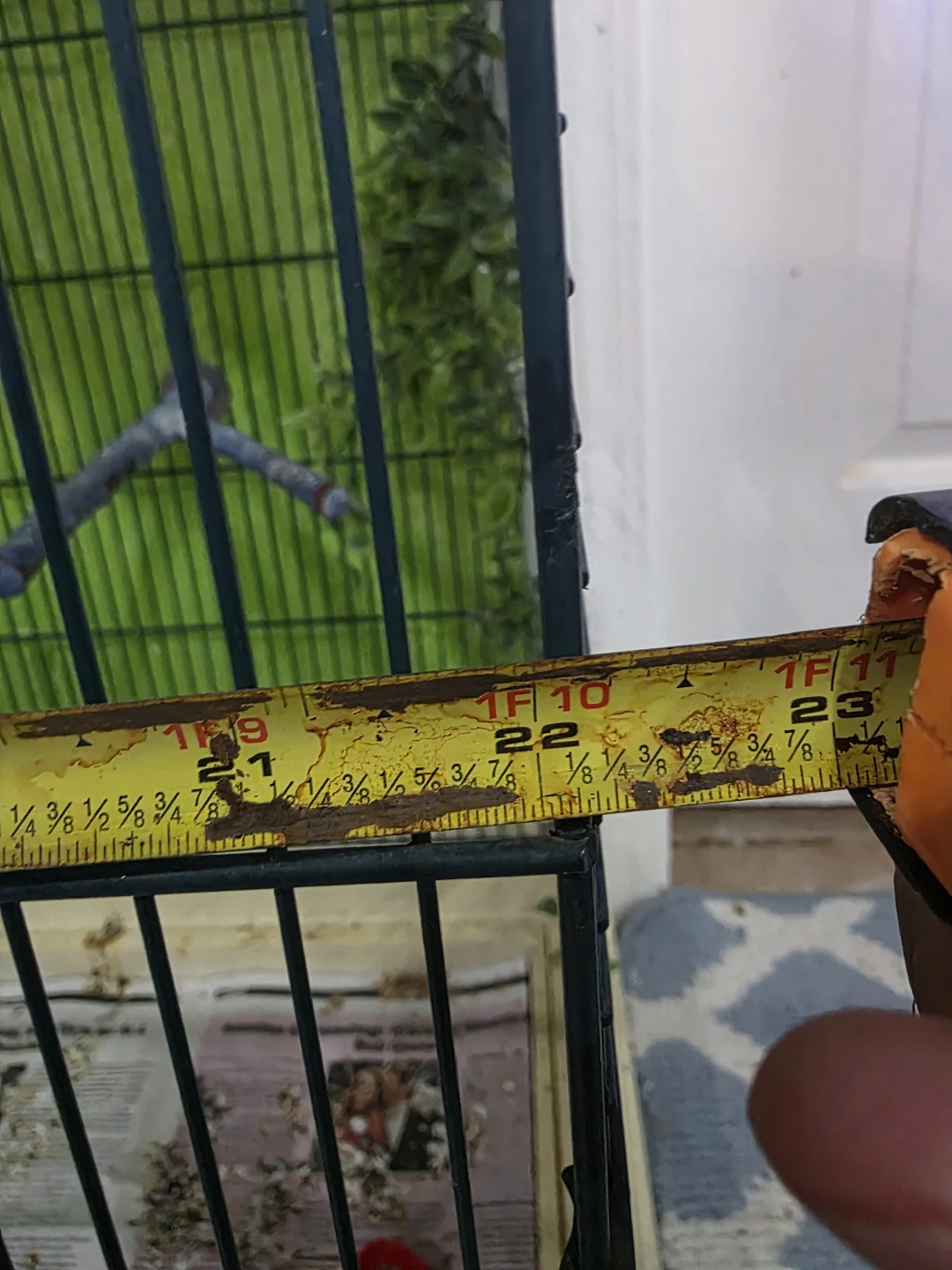 Pet Bird Cage for Small & Medium Birds - photo 5