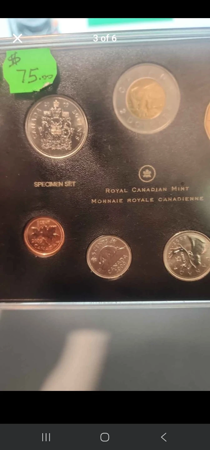 Royal Canadian Mint Specimen Set - photo 3