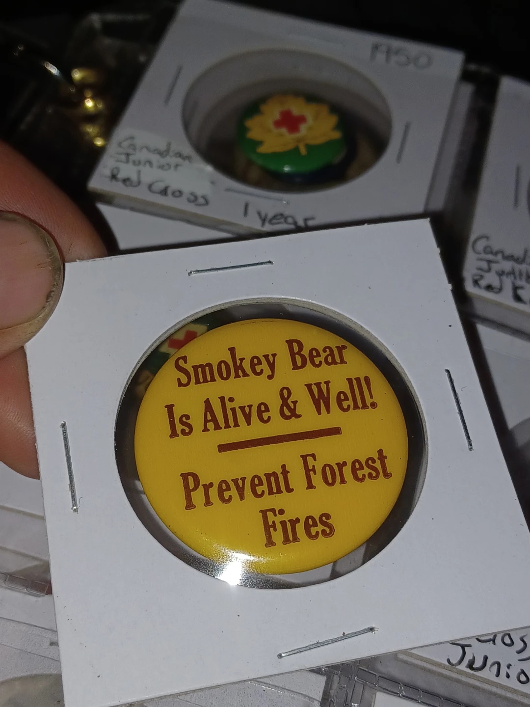 Smokey Bear Is Alive & Well! Prevent Forest Fires Pin