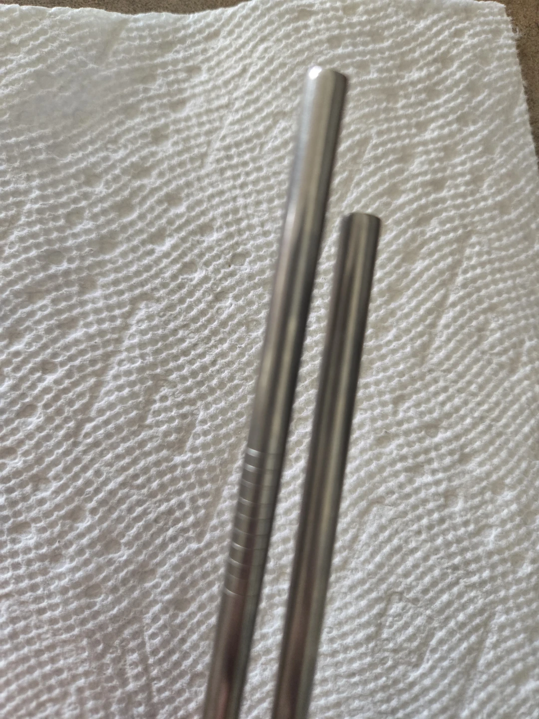 Two Metal Straws