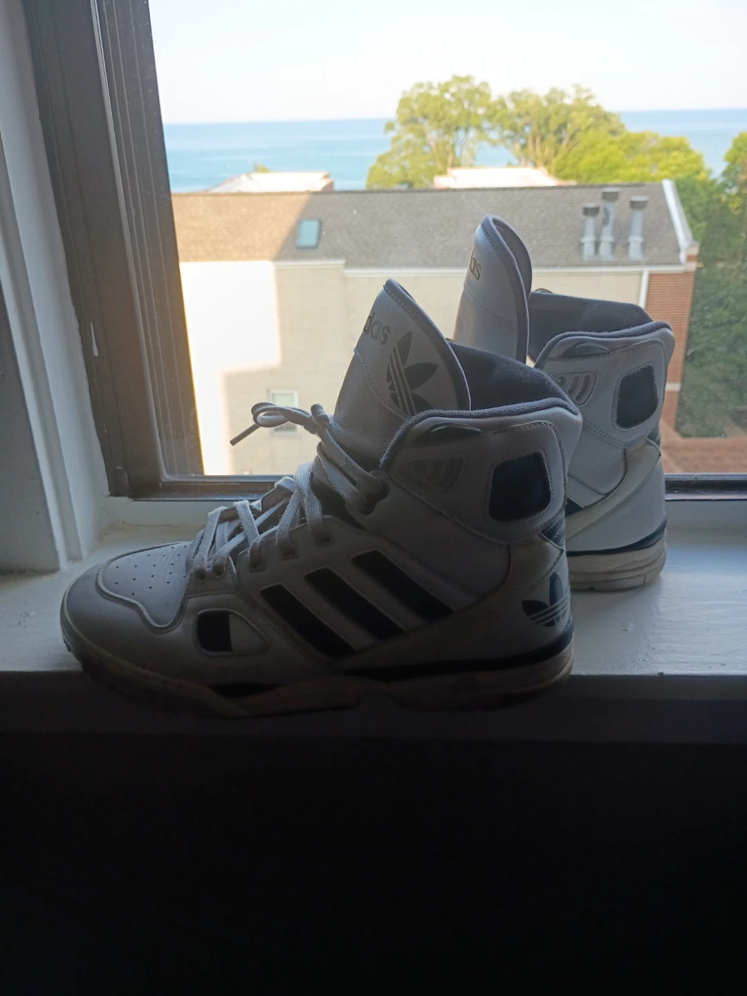 Adidas High Top Sneakers