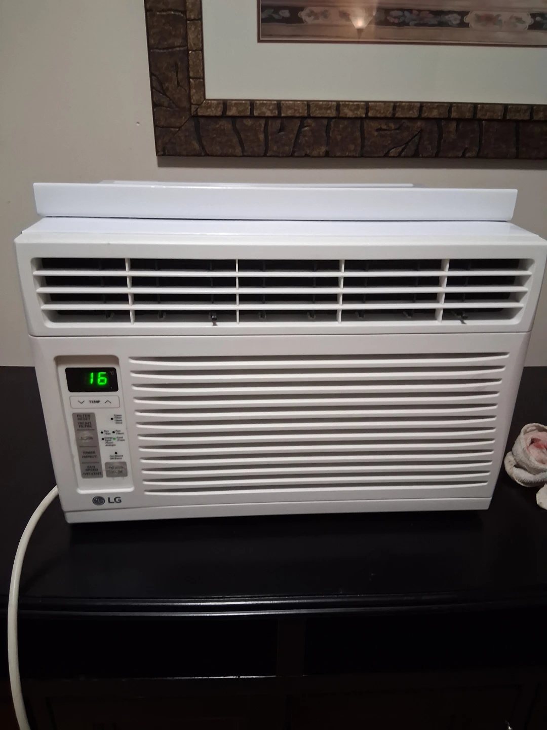 LG LW6016R Window Air Conditioner