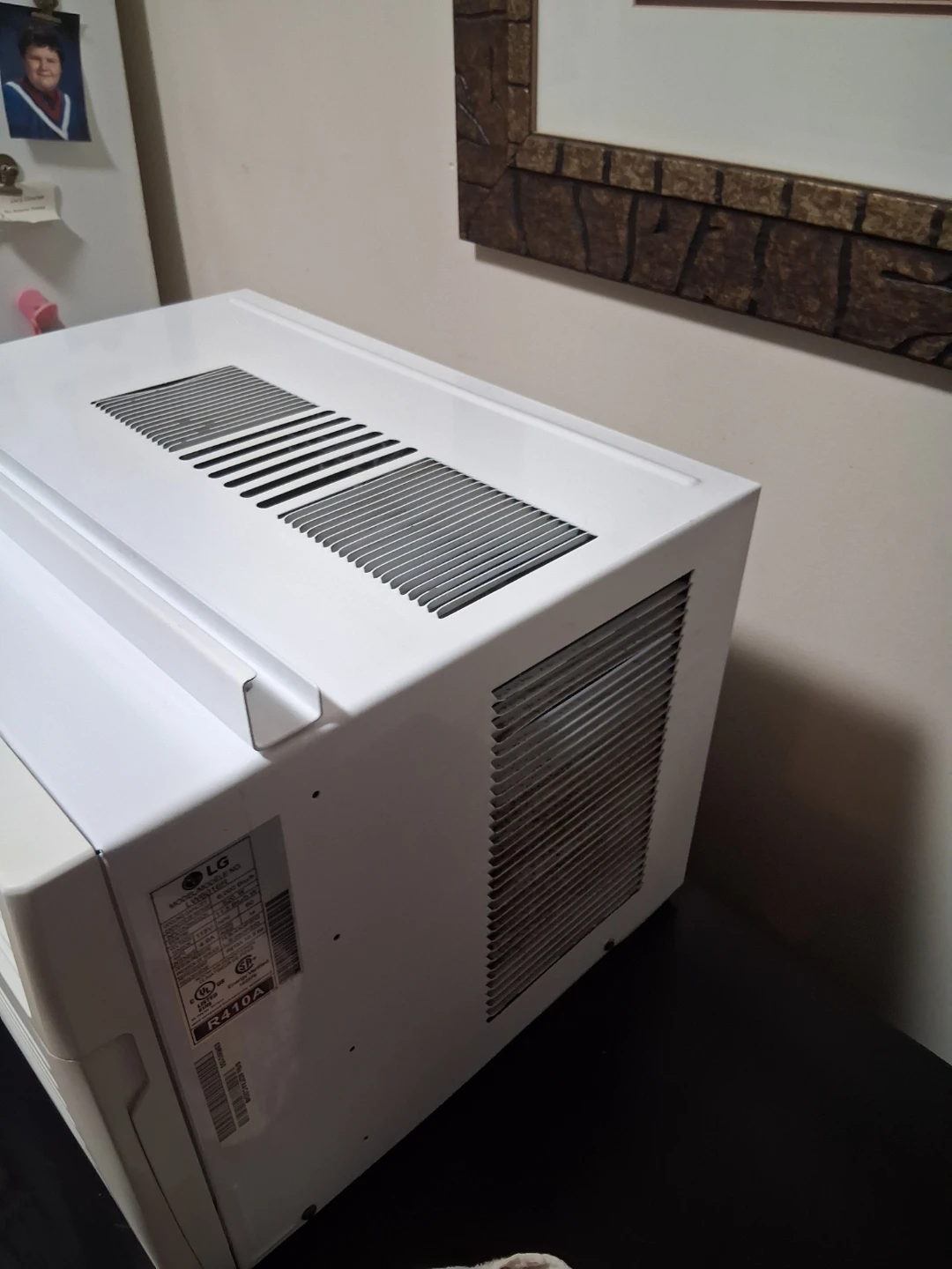 LG LW6016R Window Air Conditioner - photo 3